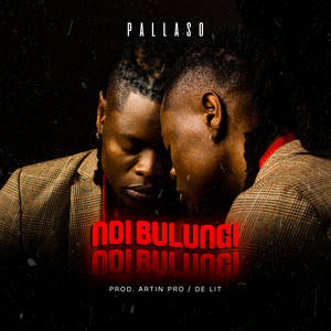 Ndi Bulungi by Pallaso