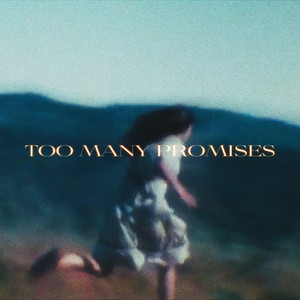 Too Many Promises by Roy Avital, Capzone