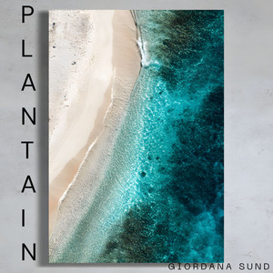 Plantain by Giordana Sund