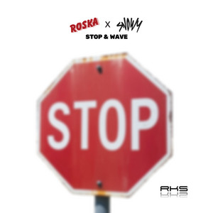 Stop & Wave by Roska, Snowy