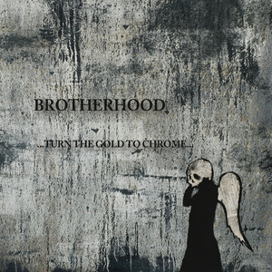 Lost by Brotherhood