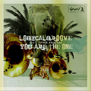 Logicalgroove cover