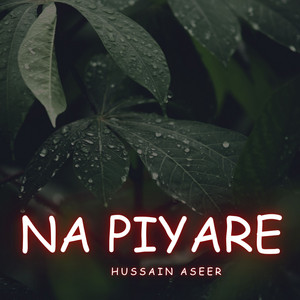 Hussain Aseer - Na Mona Ai