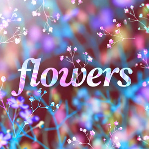 Flowers (Acoustic) by AuraMas