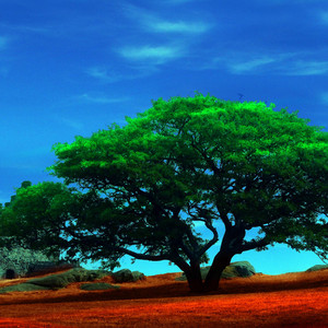 Estar Junto Así a Ti