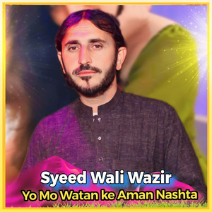 Syed Wali Wazir - Yo Mo Watan ke Aman Nashta