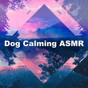 Dog Calming ASMR