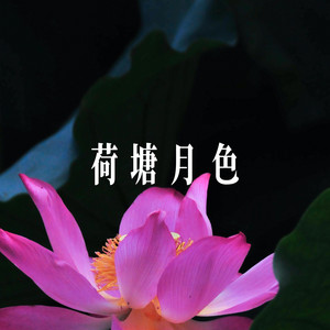 荷塘月色 荷塘月色