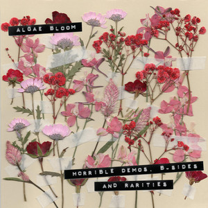 horrible demos, b-sides and rarities — cover art by Algae