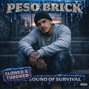 Functioning Isn’t Healing - Slowed & Throwed by Peso Brick, Harley Q.