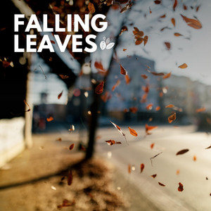Falling Leaves album