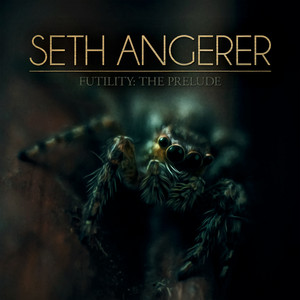 Seth Angerer - What a Smile Can Hide