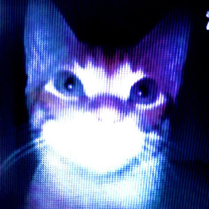 kitty cat by yowipi!, dorikore