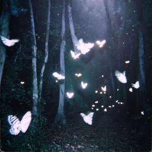 Fever Dream by Tales with Lora