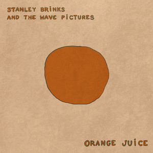 Maybe I Will See You Again by Stanley Brinks and The Wave Pictures, Stanley Brinks