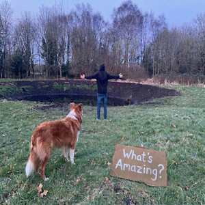 What's Amazing by Philip Kampff