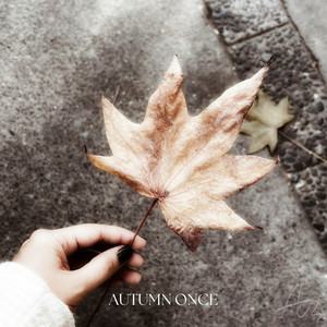 Autumn Once by Arnon Ziv