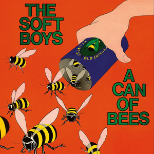 A Can of Bees album