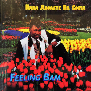 Nana Aboagye Da-Costa - Feeling Bam
