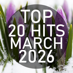 Top 20 Hits March 2026 (Instrumental)