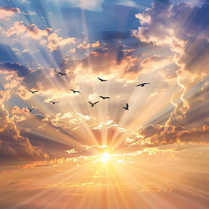 My Serenity by Scott Walker