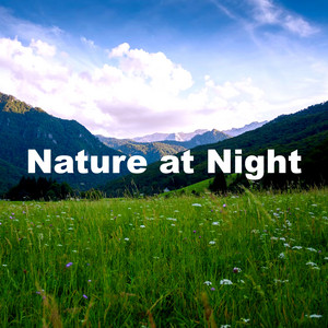 Nature at Night