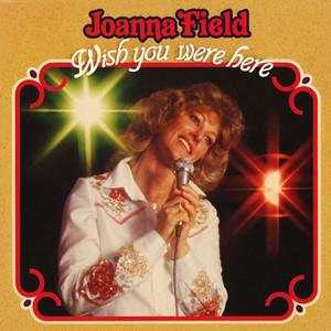 Don't Fly Too High by Joanna Field