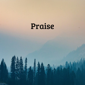 Praise by Praise and Worship Orchestra