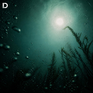 Dim Threshold by VexVoid