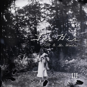 I Don't Care by AJ & the Woods