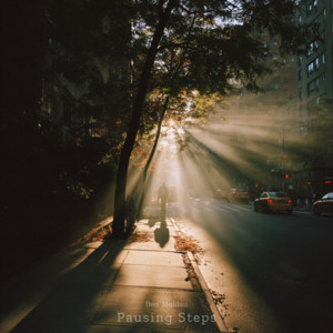Pausing Steps by Ben Moldau