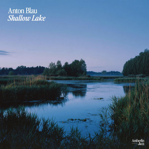 Driftwood by Anton Blau