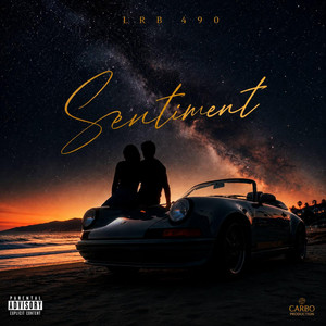 SENTIMENT by LRB490