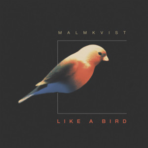 Like A Bird by Malmkvist