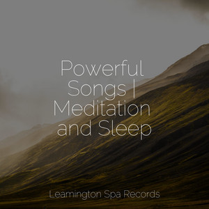 Powerful Songs | Meditation and Sleep album