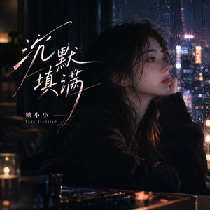 沉默填满 - 深情版 by 糖小小