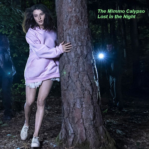 Lost in the Night by The Mimmo Calypso