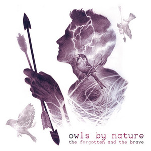 Little Birds by Owls By Nature