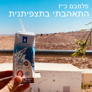 פלמבם כ"ז - התאהבתי בתצפיתנית