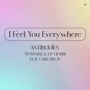 I Feel You Everywhere (Antibodies) cover art