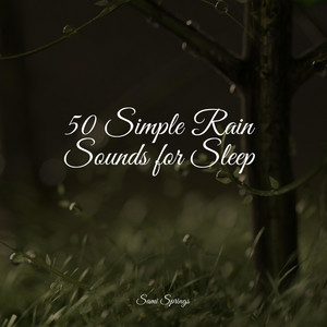 50 Simple Rain Sounds for Sleep album
