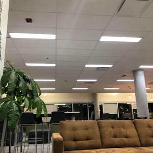 the Egomaniac & Slrerrmy - Climlip