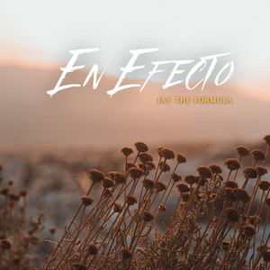 Me Tiro Por Ti by Jay The Formula