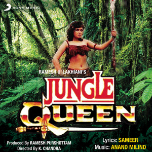 Hum Tumhe Mil Gaye by Anand-Milind, Suresh Wadkar, Sadhana Sargam