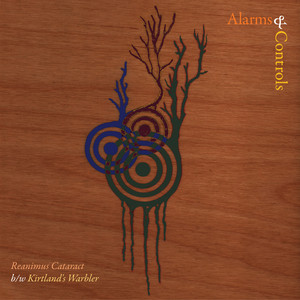 4 Songs — Alarms and Controls