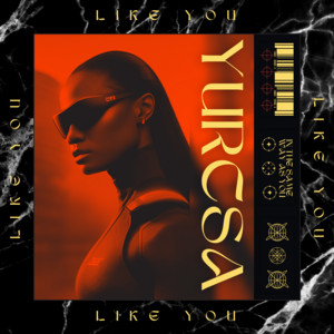 Обкладинка: Like You
