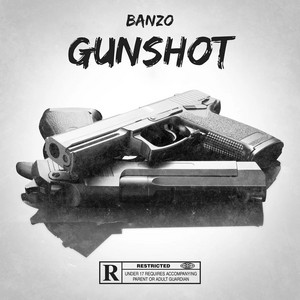 Portada de GunShot