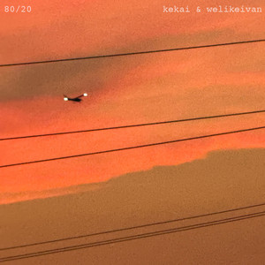 80/20 by kekai, welikeivan