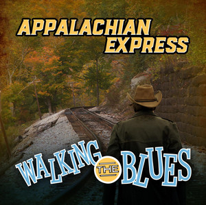 She Wore A Red Dress - song and lyrics by Appalachian Express | Spotify