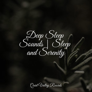 Deep Sleep Sounds | Sleep and Serenity For Dogs